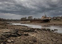 Rhine River at extreme low water level with exposed dry riverbed and stranded cargo ship