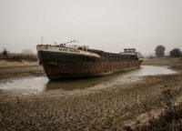 Frachtschiff auf freiliegendem Rheinbett während einer Dürreperiode gestrandet