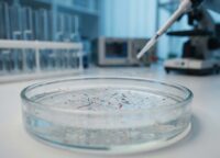 Makroaufnahme von Mikroplastik-Partikeln in einer Wasserprobe im Labor